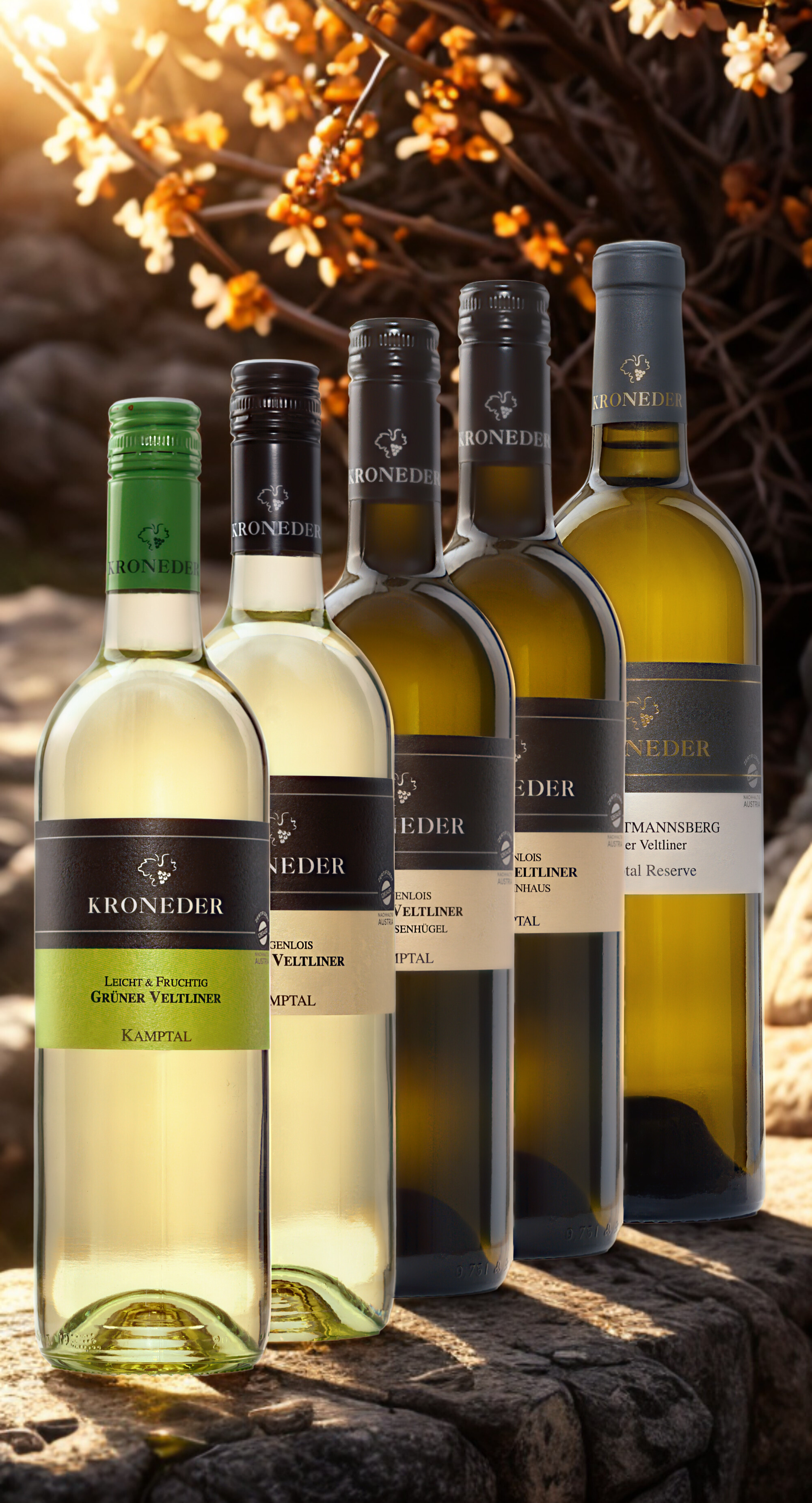 Grüner Veltliner - Paket (12 Fl.)