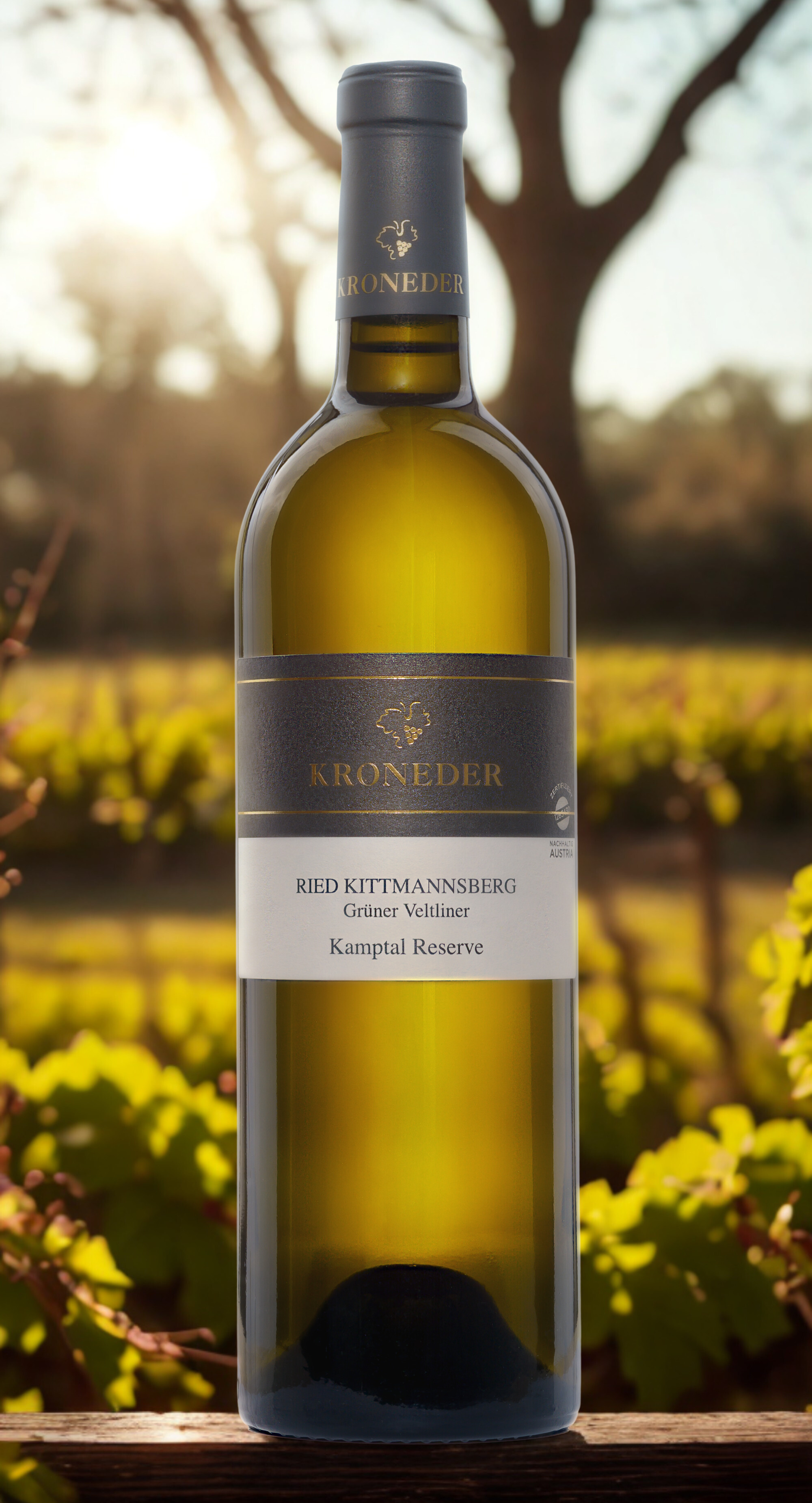 Grüner Veltliner - Ried Kittmannsberg (S)